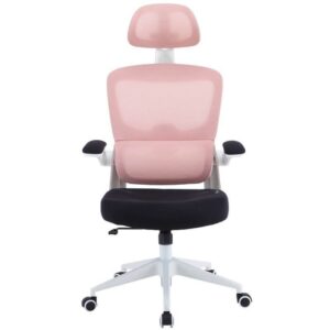 Silla Gaming Woxter Ergo/ Rosa 8435089038040 GM26-109 WOX-SILLA ERGO PK