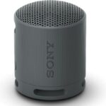 Altavoz Portable con Bluetooth Sony XB100/ 2.0/ Negro 4548736146129 SRSXB100B.CE7 SONY-ALT XB100 BK