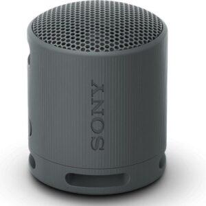 Altavoz Portable con Bluetooth Sony XB100/ 2.0/ Negro 4548736146129 SRSXB100B.CE7 SONY-ALT XB100 BK